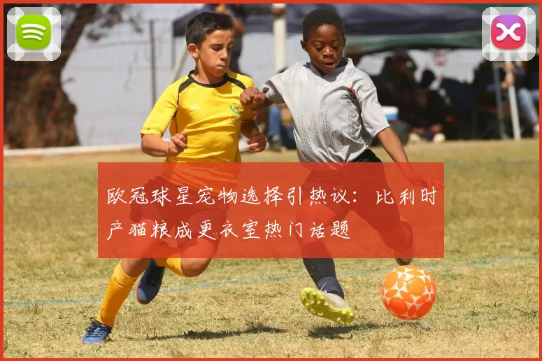 欧冠球星宠物选择引热议：比利时产猫粮成更衣室热门话题