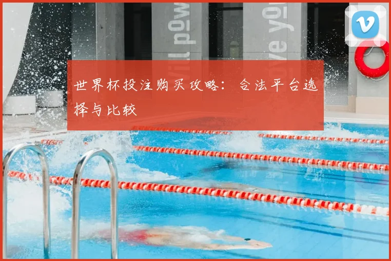 世界杯投注购买攻略:合法平台选择与比较