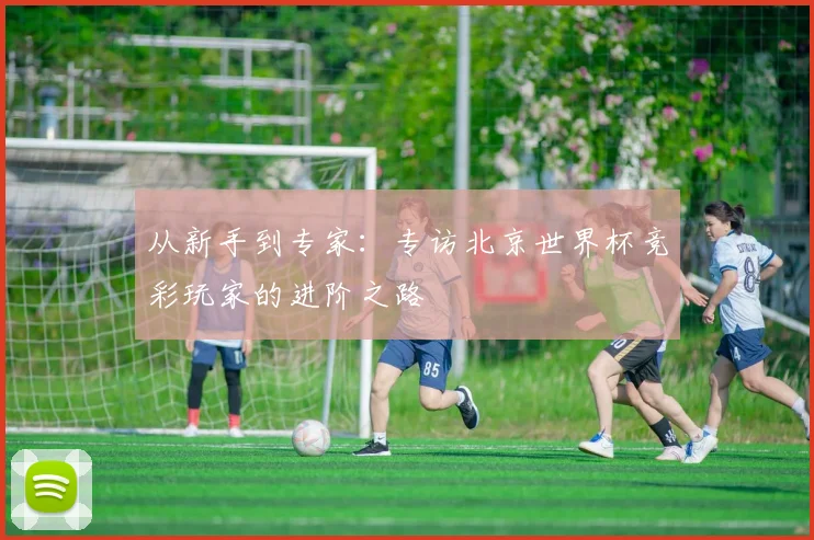 从新手到专家：专访北京世界杯竞彩玩家的进阶之路