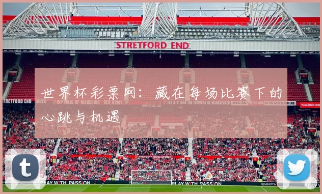 世界杯彩票网：藏在每场比赛下的心跳与机遇