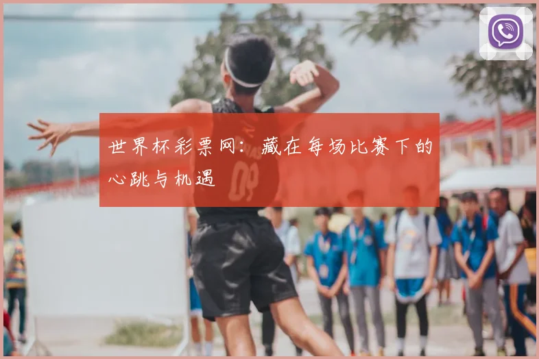 世界杯彩票网：藏在每场比赛下的心跳与机遇